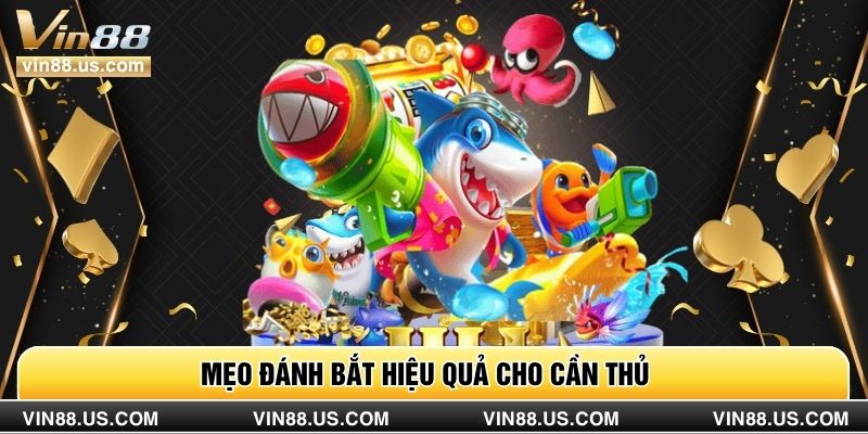 Mẹo đánh bắt hiệu quả cho cần thủ